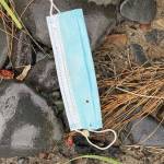This face mask is among items found on a CoastWalk done on Sunday, Oct. 4, 2020, on the Diamond Creek beach near Homer, Alaska. (Photo by Michael Armstrong/Homer News)