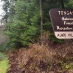 Peter Segall / Juneau Empire
A Tongass National Forest sign stands near the Auke Village Recreation Area. On Wednesday, the United States Department of Agriculture announced its decision to exempt the nations largest national forest from the Roadless Rule. Proponents say the rule change will make it easier for responsible resource development while critics say it removes essential protections on critical environments.