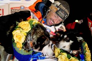 In this March 18, 2020 file photo, Thomas Waerner, of Norway, celebrates his win in the Iditarod Trail Sled Dog Race in Nome, Alaska. The worlds most famous sled dog race will go forward in 2021 officials are preparing for every potential contingency now for what the coronavirus and the world might look like in March when the Iditarod starts. Its not the mushers that worry Iditarod CEO Rob Urbach; theyre used to social distancing along the 1,000 mile trail. The headaches start with what to do with hundreds of volunteers needed to run the race, some scattered in villages along the trail between Anchorage and Nome, to protect them and the village populations. (Marc Lester/Anchorage Daily News via AP, File)