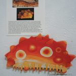 A Cucumber Called Parastichopus is one of the pieces in Kim Schusters exhibit, Science Observed Through Art: Unsung Species, as seen here on Friday, Dec. 4, 2020, at Ptarmigan Arts in Homer, Alaska. (Photo by Michael Armstrong/Homer News)