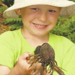 Wyatt, at age 4, helping dad harvest crawfish at White River NWR in Arkansas. (Photo by Matt Conner/USFWS)