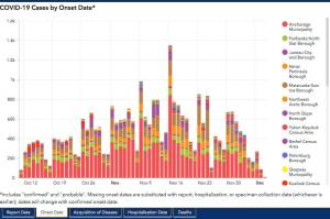 Screenshot of DHSS Coronavirus Response Hub on Dec. 10.