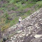 Biological intern Annaleese Rasanen surveys severely burned alpine shrub tundra within the Swan Lake Fire burn July 27, 2020. (Photo by Matt Bowser/USFWS)