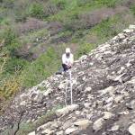 Biological intern Annaleese Rasanen surveys severely burned alpine shrub tundra within the Swan Lake Fire burn July 27, 2020. (Photo by Matt Bowser/USFWS)