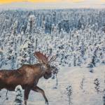 Photographs on canvas by Mary Frische and Tom Collopy are on display at the Kenai Visitor and Cultural Center on Jan. 12, 2021. (Photo by Brian Mazurek/Peninsula Clarion)