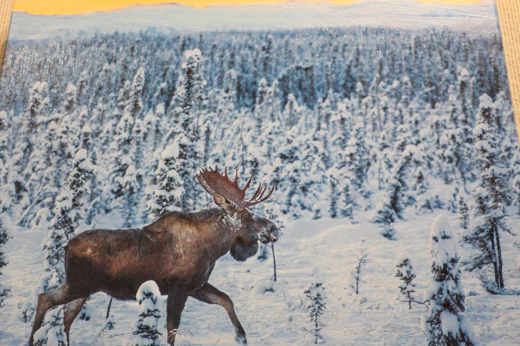 Photographs on canvas by Mary Frische and Tom Collopy are on display at the Kenai Visitor and Cultural Center on Jan. 12, 2021. (Photo by Brian Mazurek/Peninsula Clarion)