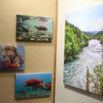 Photographs on canvas by Mary Frische and Tom Collopy are on display at the Kenai Visitor and Cultural Center on Jan. 12, 2021. (Photo by Brian Mazurek/Peninsula Clarion)