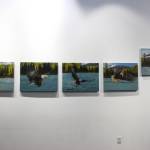 Photographs on canvas by Mary Frische and Tom Collopy are on display at the Kenai Visitor and Cultural Center on Jan. 12, 2021. (Photo by Brian Mazurek/Peninsula Clarion)