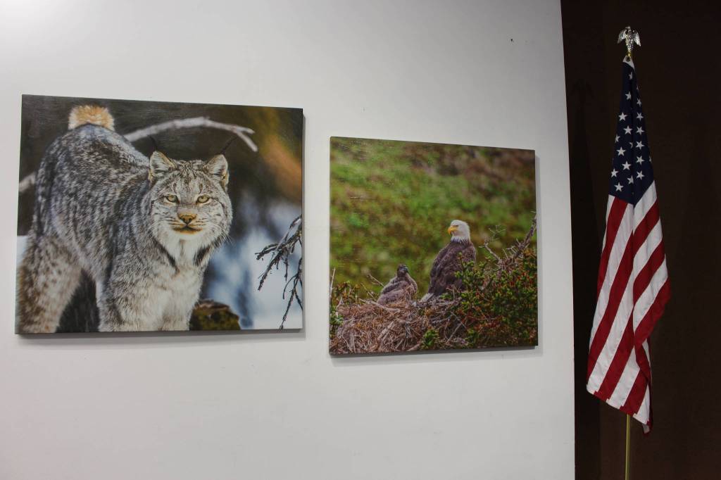 Photographs on canvas by Mary Frische and Tom Collopy are on display at the Kenai Visitor and Cultural Center on Jan. 12, 2021. (Photo by Brian Mazurek/Peninsula Clarion)