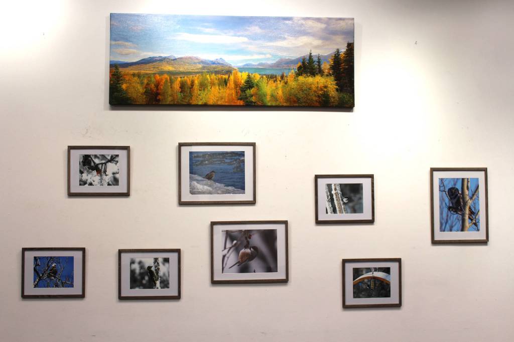 Photography by various artists are on display at the Kenai Visitor and Cultural Center on Jan. 12, 2020. (Photograph by Brian Mazurek/Peninsula Clarion)
