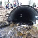 A fish friendly culvert in Alaska. (Photo by Katrina Liebich/USFWS)