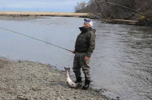 Terry Umatum of Anchorage takes a deep breath after landing his Anchor River king salmon on Saturday, May 19, 2018 in Anchor Point, Alaska. (Peninsula Clarion file)