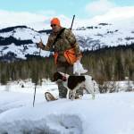 Mike Chihuly and Crosson look for a good place to cross open water during a ptarmigan hunt in the Kenai Mountains. (courtesy)