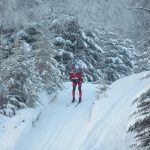 Kenai Centrals Tyler Hippchen races in the Kenai Klassic at the Kenai Nordic Trails in Kenai, Alaska, on Saturday, Feb. 6, 2021. (Photo by Jeff Helminiak/Peninsula Clarion)