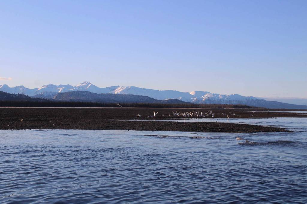 A day on Kachemak Bay (Ashlyn OHara/Peninsula Clarion)