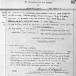 A portion of the documentation during the probate hearings concerning the estate of Alexander Ryan. (Image courtesy Clark Fair)