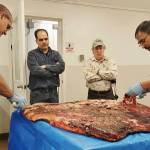In this Oct. 28, 2016, photo provided by the Maniilaq Association, Alex Whiting, left, and Cyrus Harris, right, are observed by Chris Sannito, second from left, and Brian Himelbloom, third from left, of the Kodiak Seafood and Marine Science Center as they trim and clean seal blubber in Kotzebue, Alaska. In January 2021, the Alaska Department of Environmental Conservation approved seal oil to be served at a Maniilaq elder care home, believed to be a first for seal oil in the U.S.  (Maniilaq Association via AP)