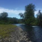This undated photo shows a section of Deep Creek near Ninilchik, Alalska recently acquired by the Alaska Department of Fish and Game with the assistance of the Kachemak Heritage Land Trust to protect hunting and fishing in the area. (Photo courtesy of Kachemak Heritage Land Trust)