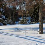 Ashlyn OHara/Peninsula Clarion
Grave markers are seen at the Kenai Municipal Cemetery on Thursday in Kenai.