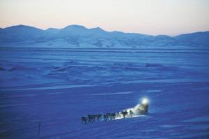 Marc Lester/Anchorage Daily News via AP, File 
In this March 11, 2012, file photo, Dallas Seavey pulls in to the checkpoint in Unalakleet, during the Iditarod Trail Sled Dog Race.