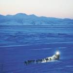 In this March 11, 2012, file photo, Dallas Seavey pulls in to the checkpoint in Unalakleet, Alaska, during the Iditarod Trail Sled Dog Race. The worlds most famous sled dog race starts Sunday, March 7, 2021, without its defending champion in a contest that will be as much dominated by unknowns and changes because of the pandemic as mushers are by the Alaska terrain. (Marc Lester/Anchorage Daily News via AP, File)