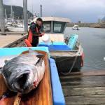 A king salmon is laid out for inspection by Alaska Department of Fish and Game at the Mike Pusich Douglas Harbor officials at the Golden North Salmon Derby on Aug. 25, 2019. (Peter Segall / Juneau Empire File)