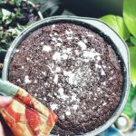 Kladdkaka sprinkled with powdered sugar is ready to be eaten, photographed on Tuesday, March 9, 2021, in Anchorage, Alaska. (Photo by Victoria Petersen/Peninsula Clarion)