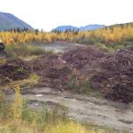 A slash pile containing non-organic construction debris is seen at the Snug Harbor Slash Disposal site on Sept. 22, 2020 in Cooper Landing, Alaska. (Photo courtesy Kenai Peninsula Borough Lang Management)