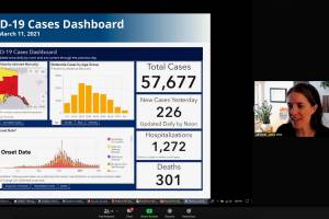 Alaskas Chief Medical Officer Dr. Anne Zink addresses members of the media during a remote press conference on Thursday, March 11 in Alaska. (Screenshot)