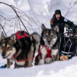 Richie Diehl mushes up the first part of the Happy River Steps on Sunday, March 14, 2021 during the Iditarod, in Alaska. The steps are normally a tricky downhill part of the race, but this year mushers are also doing it in reverse. (Loren Holmes/Anchorage Daily News via AP, Pool)
