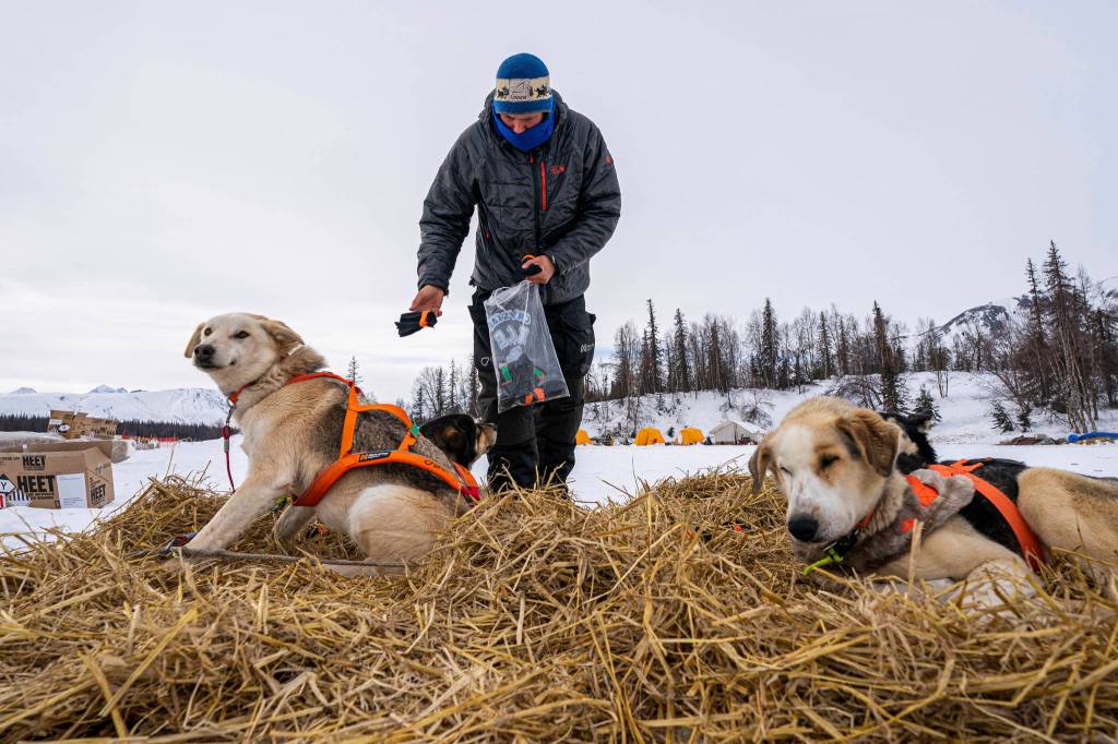 Joar Leifseth Ulsom puts booties on his dogs before leaving the Finger Lake checkpoint on Sunday, March 14, 2021, during the Iditarod, in Alaska. (Loren Holmes/Anchorage Daily News via AP, Pool)