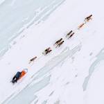 Joar Leifseth Ulsom mushes across Finger Lake, in Alaska, on Sunday, March 14, 2021, during the Iditarod. (Loren Holmes/Anchorage Daily News via AP, Pool)