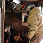 Timm Johnson stands inside a chicken house at Diamond M Ranch on Thursday, April 1, 2021, off Kalifornsky Beach Road near Kenai, Alaska. (Ashlyn OHara/Peninsula Clarion)