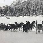 This dog team, loaded with mail, was en route between Moose Pass and Kenai, circa 1920s. (Photo courtesy of Jim Taylor.)