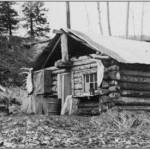 Photo from the Knackstedt Collection 
This shelter cabin, located near the confluence of the Moose and Kenai rivers, was constructed in the early 1920s for mail carriers traveling by dog sled between Seward and Kenai.