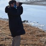 Teresa Becher watches as beluga whales swim up the Kenai River on Saturday, April 24, 2021. She and her volunteer team monitor belugas in the Cook Inlet. (Photo by Camille Botello/Peninsula Clarion)