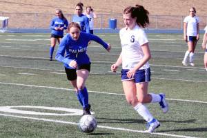 Soldotnas Alex Lee attacks against Palmer on Friday, April 30, 2021, at Palmer High School in Palmer, Alaska. (Photo by Tim Rockey/Frontiersman)