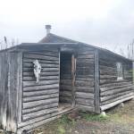 Nurses Cabin was named after two nurses who built it while working at the cannery on the Kasilof River. (Photo provided by refuge)