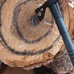 An axe is stuck in a log at Peninsula Axe Throwing in Cooper Landing in this undated photo. (Peninsula Axe Throwing website)