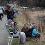 Michael Armstrong / Homer News 
Birders check out shorebirds on the outgoing tide May 8 at Mud Bay on the Homer Spit. Right: A greater yellowlegs feeds at Green Timbers on the Homer Spit.