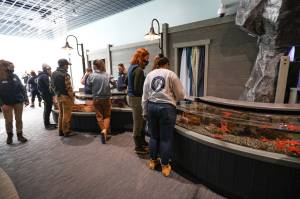 Visitors interact with the Alaska SeaLife Centers Rocky Coast Discovery Pool on May 28 in Seward. (Photo courtesy Alaska SeaLife Center)