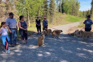 People participate in the Kenai National Wildlife Refuges BARK ranger program on June 5, 2021 for National Trails Day in Soldotna, Alaska. (Photo provided by Michelle Ostrowski)