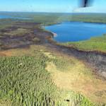 An aerial photo of the 102-acre Loon Lake Fire footprint taken at approximately 11:30 a.m. Tuesday, June 15, 2021. Swan Lake is in the background to the right. (Kale Casey/Alaska DNR-Division of Forestry)