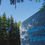 The Tongass National Forest sign seen en route to the Mendenhall Glacier Visitor Center on Wednesday, Aug. 28, 2019. (Michael Penn / Juneau Empire File)