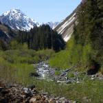 Japanese Creek, which begins at the foot of an alpine glacier in the Kenai Mountains, flows through a steep canyon before it runs along the northeast edge of Seward, Alaska. (Young Kim for The Hechinger Report)
