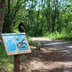 A podium marks the beginning of a StoryWalk at Soldotna Creek Park on Tuesday, June 29, 2021 in Soldotna, Alaska. (Ashlyn OHara/Peninsula Clarion)