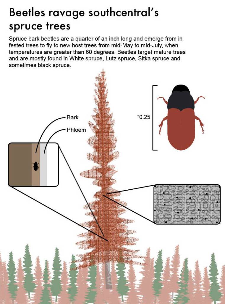 Graphic by Ashlyn OHara