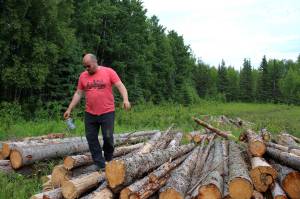 Walt Blauvelt stands on logs near the Central Peninsula Landfill on Thursday, July 1, 2021 near Soldotna, Alaska. (Ashlyn OHara/Peninsula Clarion)