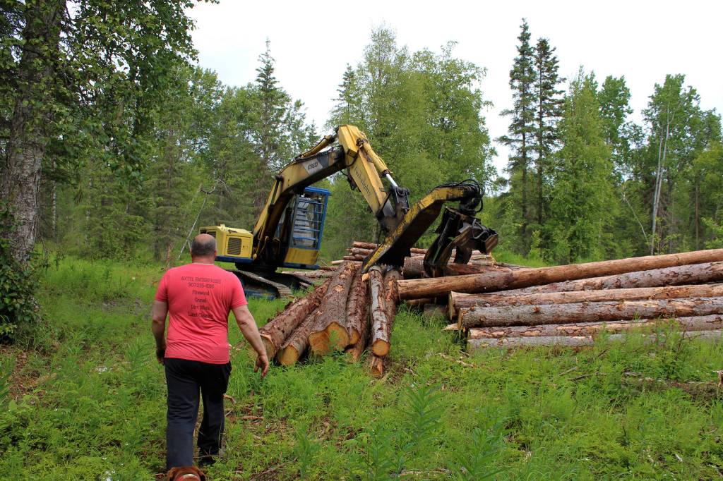 Walt Blauvelt walks toward a pile of logs near the Central Peninsula Landfill on Thursday, July 1, 2021 near Soldotna, Alaska. (Ashlyn OHara/Peninsula Clarion)