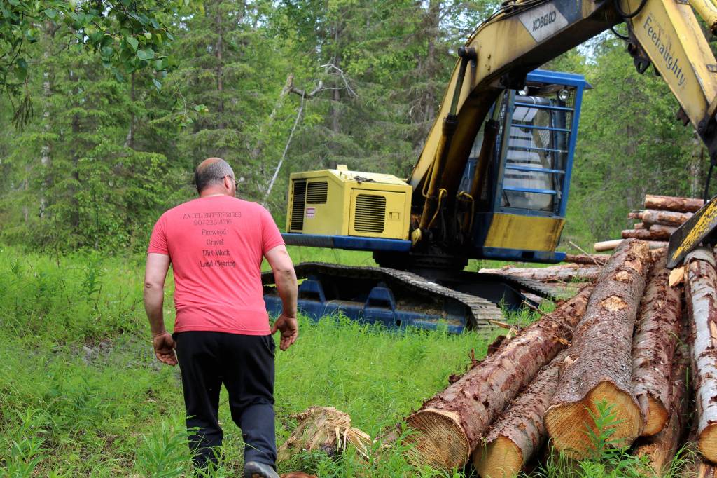 Walt Blauvelt walks toward a pile of logs near the Central Peninsula Landfill on Thursday, July 1, 2021 near Soldotna, Alaska. (Ashlyn OHara/Peninsula Clarion)
